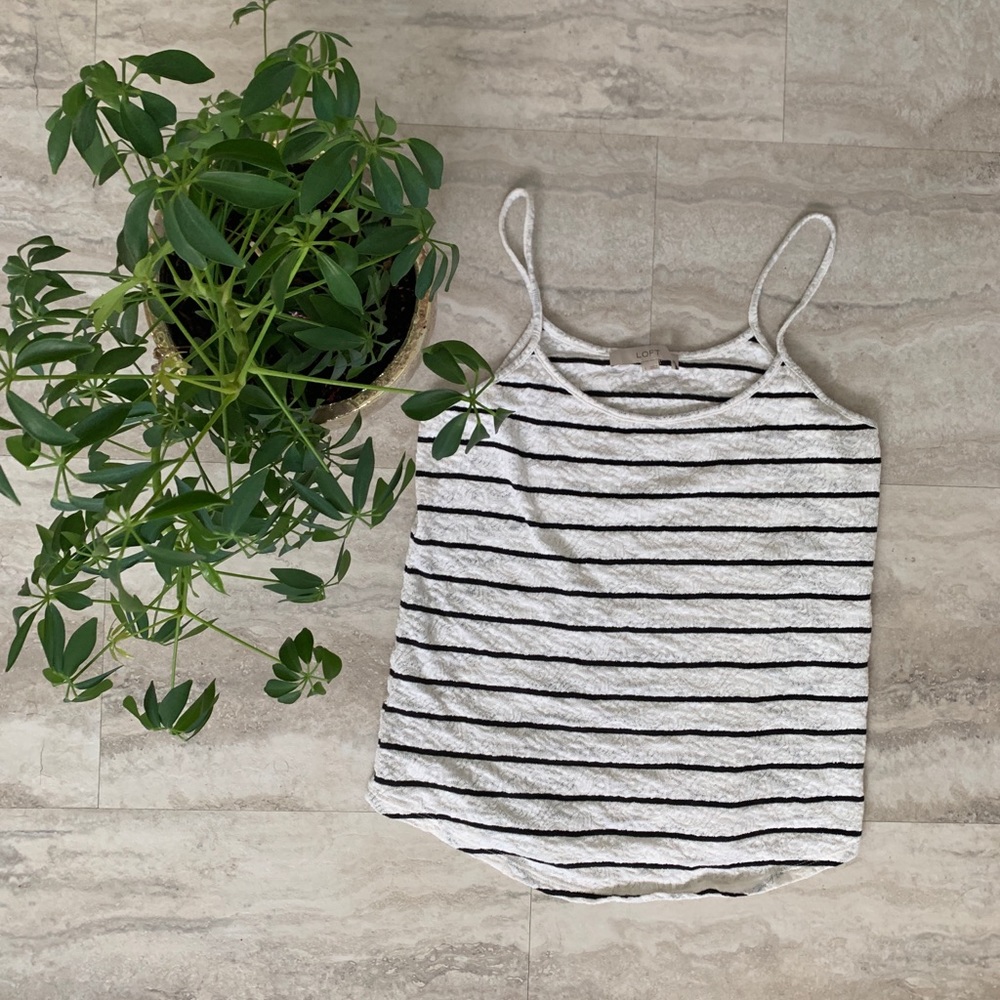 LOFT Stripped Lace Tank